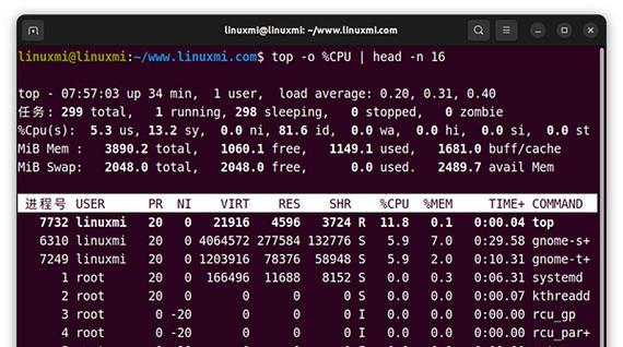 Linux下查看进程命令行的使用及实践（通过ps、top等命令行工具实时监控和管理进程）