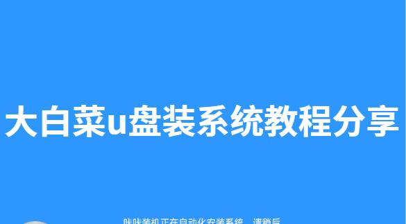 U盘制作大白菜系统教程（详细步骤教你轻松制作大白菜系统）