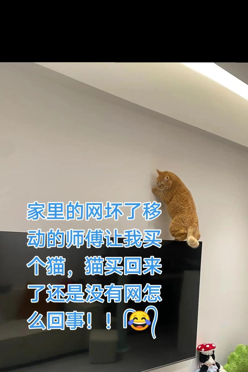 解决家里电脑移动网错误678的方法（探索移动网错误678的原因和解决方案）