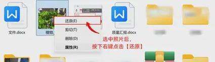 如何恢复已删除的相片（快速找回误删相片的有效方法）