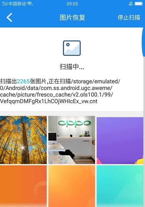 免费恢复手机照片的最佳软件推荐（恢复手机照片，只需几个简单的步骤！）